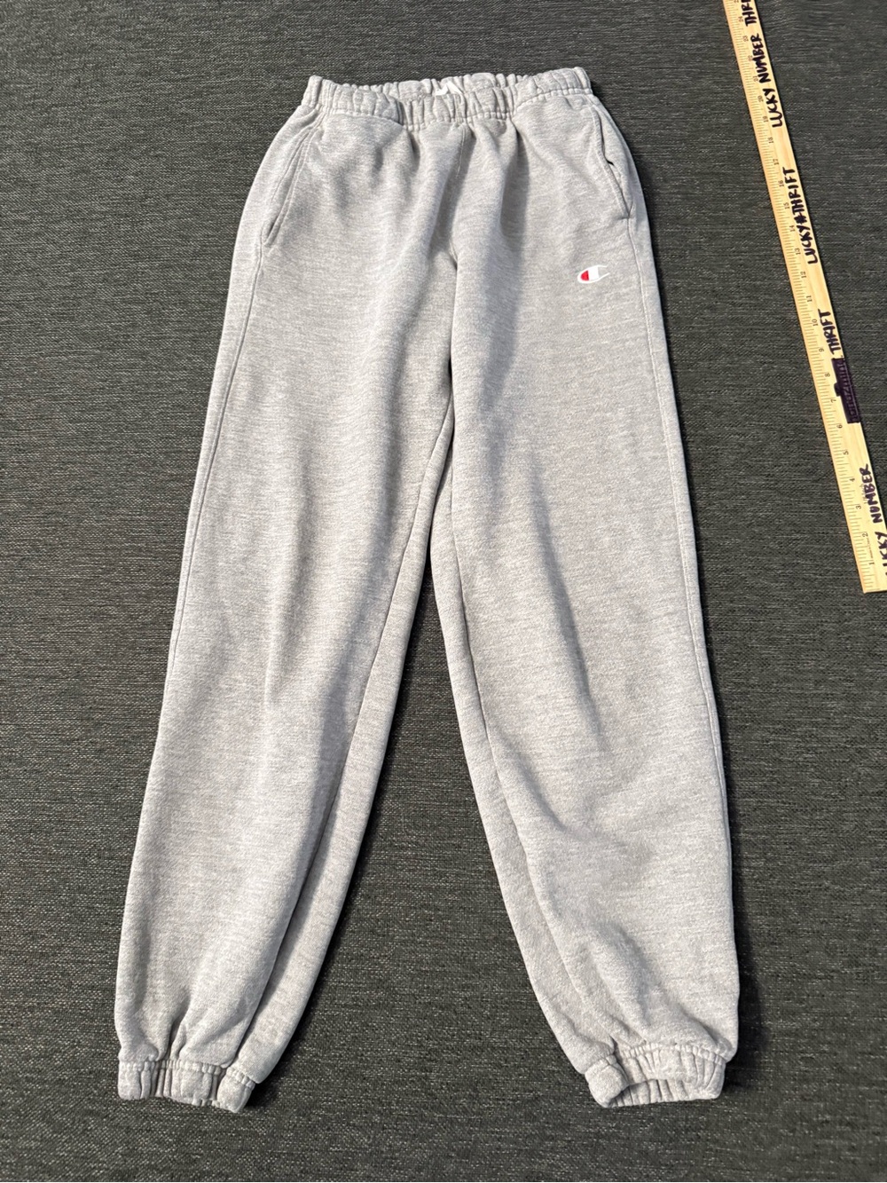 Champion Men’s thick Gray Fleece Jogger Pants size Small
